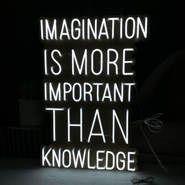 Imagination Is More Important Than Knowledge Neon LED Sign