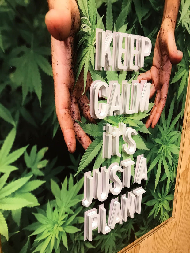 Keep Calm It's Just A Plant Weed Neon LED Sign