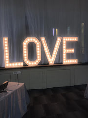 Marquee Bulb Neon Led Sign