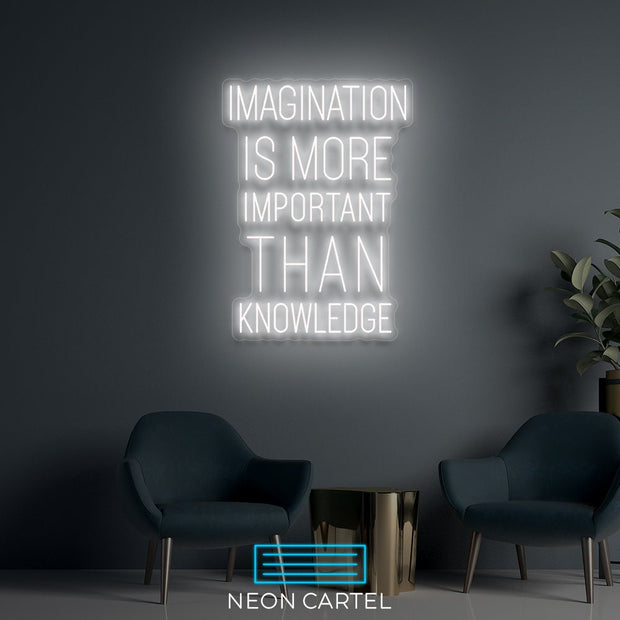 Imagination Is More Important Than Knowledge Neon LED Sign